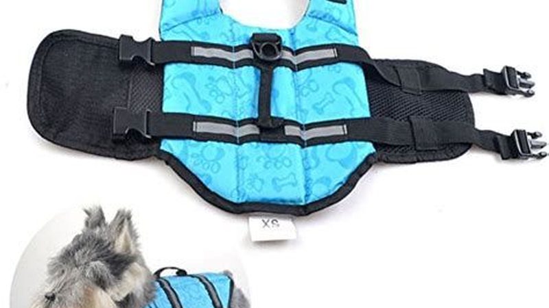 中央空调螺杆冷水机定制：揭秘定制化背后的技术逻辑