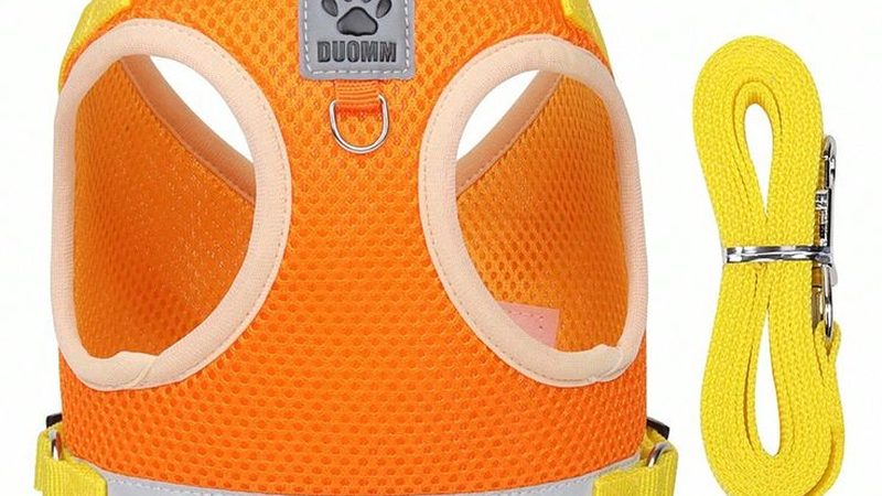 小型冷库工程与冷链物流：本质区别与关键考量
